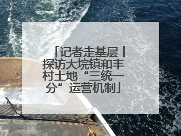 记者走基层丨探访大垸镇和丰村土地“三统一分”运营机制