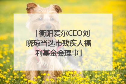 衡阳爱尔CEO刘晓琼当选市残疾人福利基金会理事
