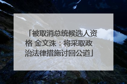 被取消总统候选人资格 金文洙：将采取政治法律措施讨回公道