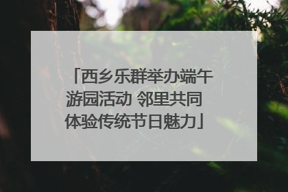 西乡乐群举办端午游园活动 邻里共同体验传统节日魅力