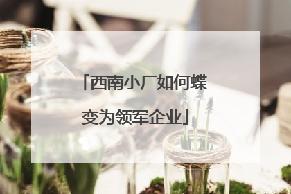 西南小厂如何蝶变为领军企业