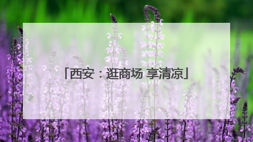 西安：逛商场 享清凉