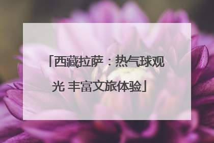 西藏拉萨：热气球观光 丰富文旅体验