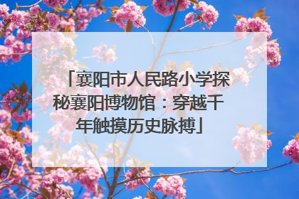 襄阳市人民路小学探秘襄阳博物馆：穿越千年触摸历史脉搏