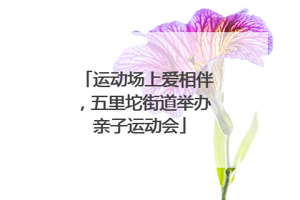 运动场上爱相伴，五里坨街道举办亲子运动会