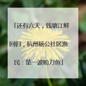 还有六天，钱塘江鲜回归，杭州杨公社区渔民：第一波盼刀鱼