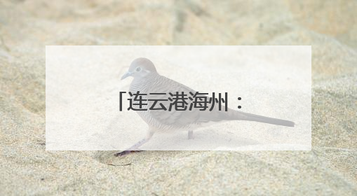 连云港海州：优化营商环境见实效 重点项目建设热潮涌动