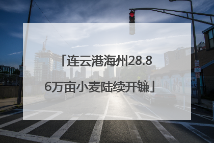 连云港海州28.86万亩小麦陆续开镰