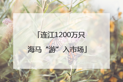 连江1200万只海马“游”入市场