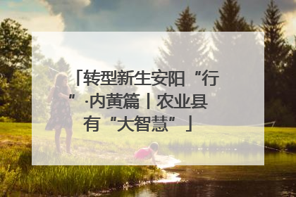 转型新生安阳“行”·内黄篇丨农业县有“大智慧”
