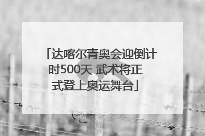 达喀尔青奥会迎倒计时500天 武术将正式登上奥运舞台