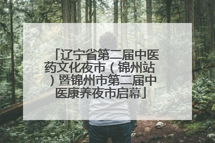 辽宁省第二届中医药文化夜市（锦州站）暨锦州市第二届中医康养夜市启幕