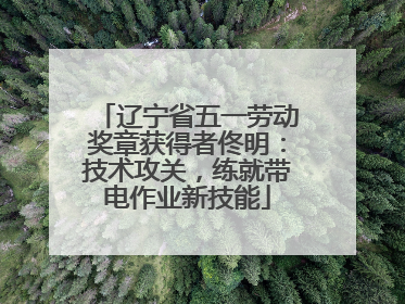 辽宁省五一劳动奖章获得者佟明：技术攻关，练就带电作业新技能