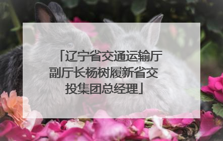 辽宁省交通运输厅副厅长杨树履新省交投集团总经理