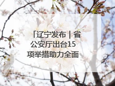 辽宁发布｜省公安厅出台15项举措助力全面振兴新突破三年行动决胜之战