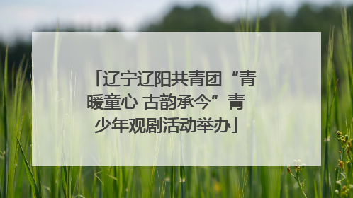 辽宁辽阳共青团“青暖童心 古韵承今”青少年观剧活动举办