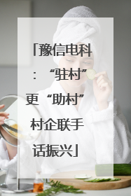 豫信电科：“驻村”更“助村” 村企联手话振兴