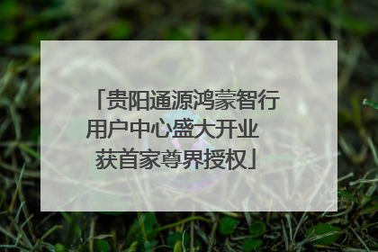 贵阳通源鸿蒙智行用户中心盛大开业 获首家尊界授权
