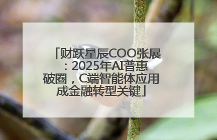 财跃星辰COO张展：2025年AI普惠破圈，C端智能体应用成金融转型关键