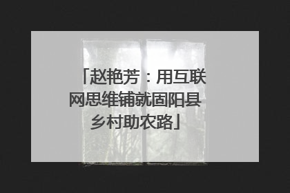 赵艳芳：用互联网思维铺就固阳县乡村助农路