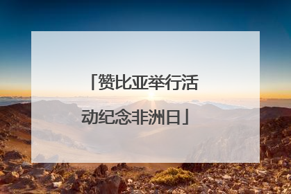 赞比亚举行活动纪念非洲日