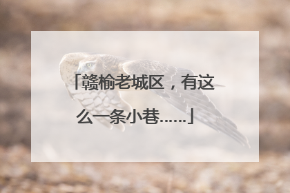 赣榆老城区，有这么一条小巷……