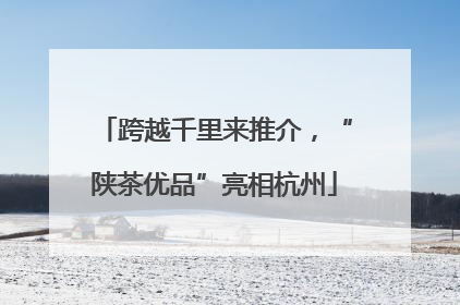 跨越千里来推介，“陕茶优品”亮相杭州