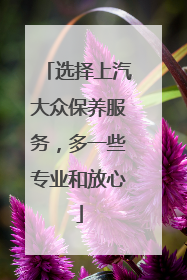 选择上汽大众保养服务，多一些专业和放心