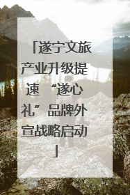 遂宁文旅产业升级提速 “遂心礼”品牌外宣战略启动
