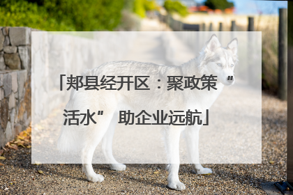 郏县经开区：聚政策“活水” 助企业远航