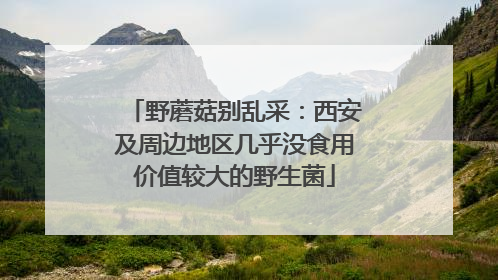 野蘑菇别乱采：西安及周边地区几乎没食用价值较大的野生菌