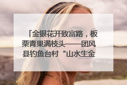 金银花开致富路，板栗青果满枝头——团风县钓鱼台村“山水生金”谱写共富新篇章