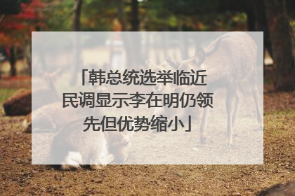韩总统选举临近 民调显示李在明仍领先但优势缩小