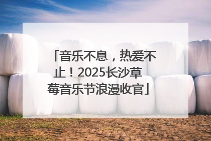 音乐不息，热爱不止！2025长沙草莓音乐节浪漫收官