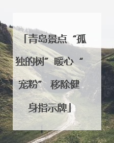 青岛景点“孤独的树”暖心“宠粉” 移除健身指示牌