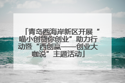 青岛西海岸新区开展“喵小创贷你创业”助力行动暨“西创赢——创业大咖说”主题活动