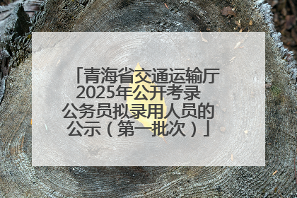 青海省交通运输厅2025年公开考录公务员拟录用人员的公示（第一批次）