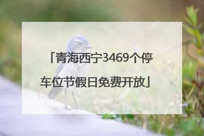 青海西宁3469个停车位节假日免费开放