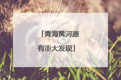 青海黄河源有重大发现