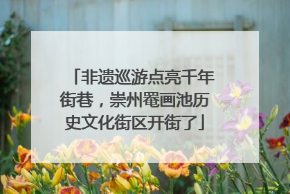 非遗巡游点亮千年街巷，崇州罨画池历史文化街区开街了