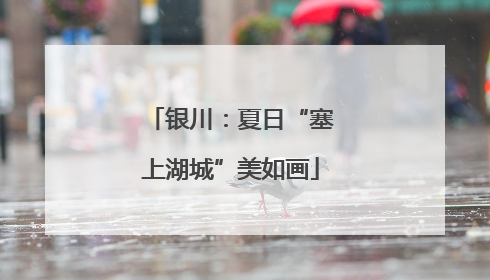 银川：夏日“塞上湖城”美如画