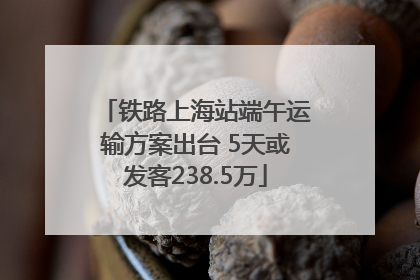 铁路上海站端午运输方案出台 5天或发客238.5万