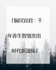 铜川宜君：千年养生智慧烹出时代新滋味