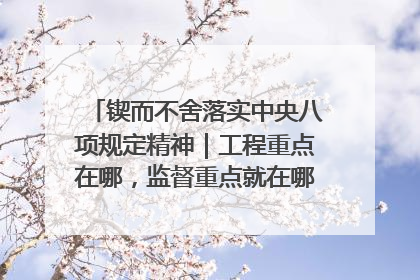 锲而不舍落实中央八项规定精神｜工程重点在哪，监督重点就在哪——广西深化政治监督护航平陆运河建设