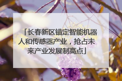 长春新区锚定智能机器人和传感器产业，抢占未来产业发展制高点