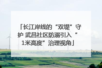 长江岸线的“双堤”守护 武昌社区防溺引入“1米高度”治理视角