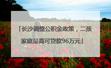 长沙调整公积金政策，二孩家庭最高可贷款96万元