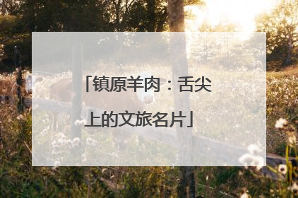 镇原羊肉：舌尖上的文旅名片
