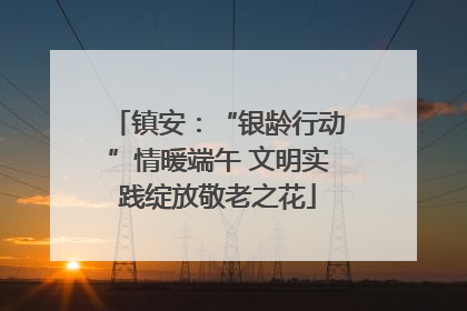 镇安：“银龄行动”情暖端午 文明实践绽放敬老之花