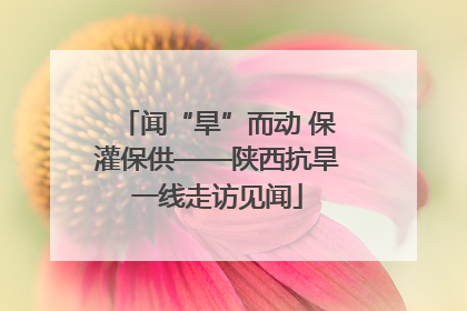 闻“旱”而动 保灌保供——陕西抗旱一线走访见闻